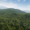 Image 2: Guided Jeep Tours of the Smoky Mountains with Breathtaking Views