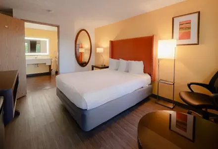 King Room
