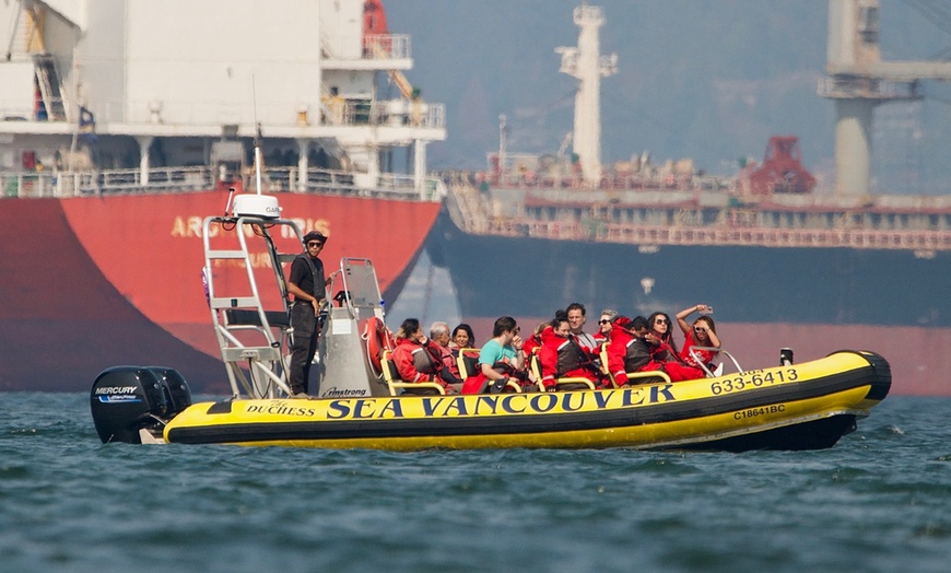 Image 7: Boat Tours: Unparalleled City & Nature Views of Vancouver