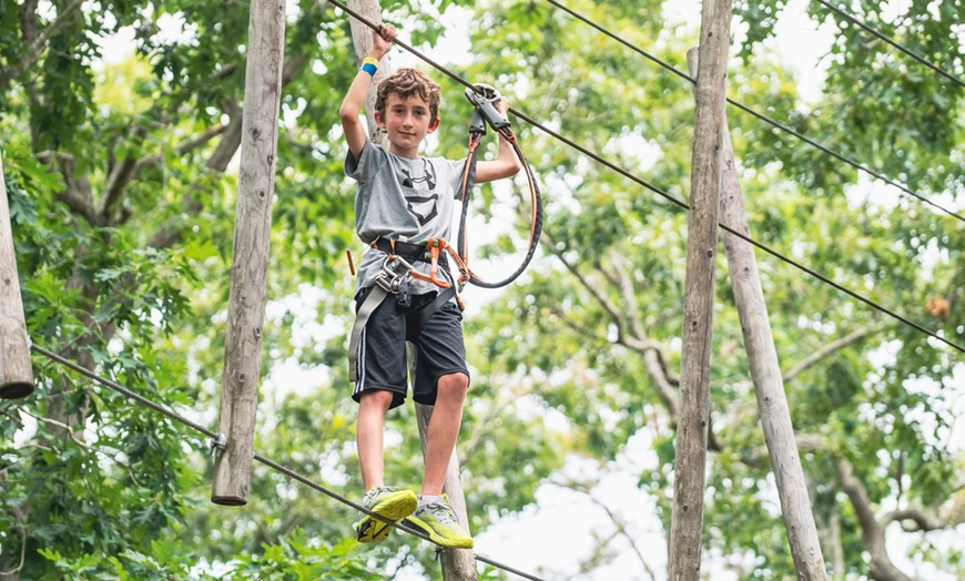 Image 8: Up to 37% Off Adventure Course & Ziplines at Tree To Tree Cape May