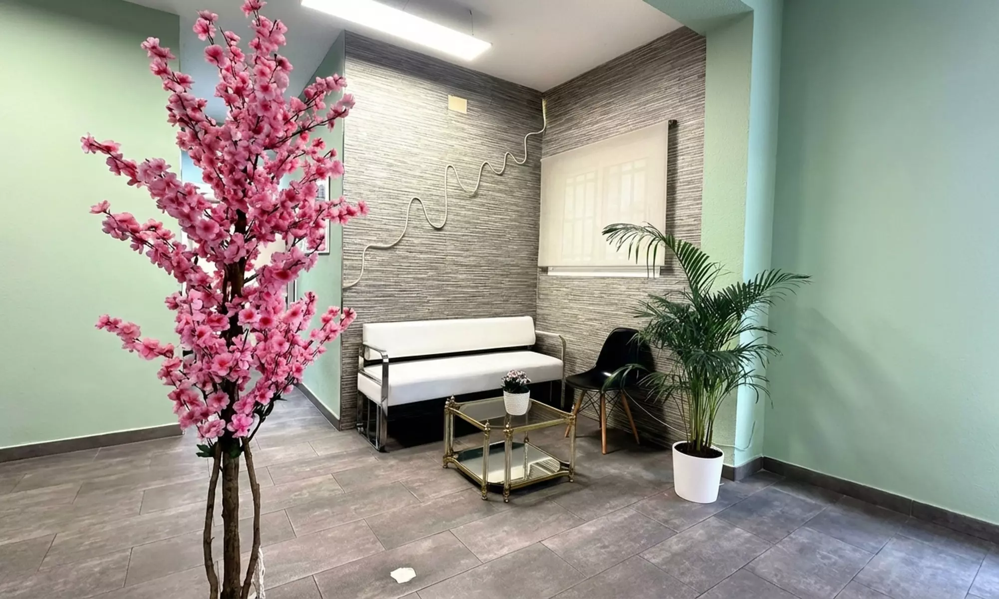 Lifting y tinte de pestañas con opción a servicios de cejas para 1