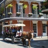 Image 4: Guided City Bus Tour in New Orleans, Louisiana
