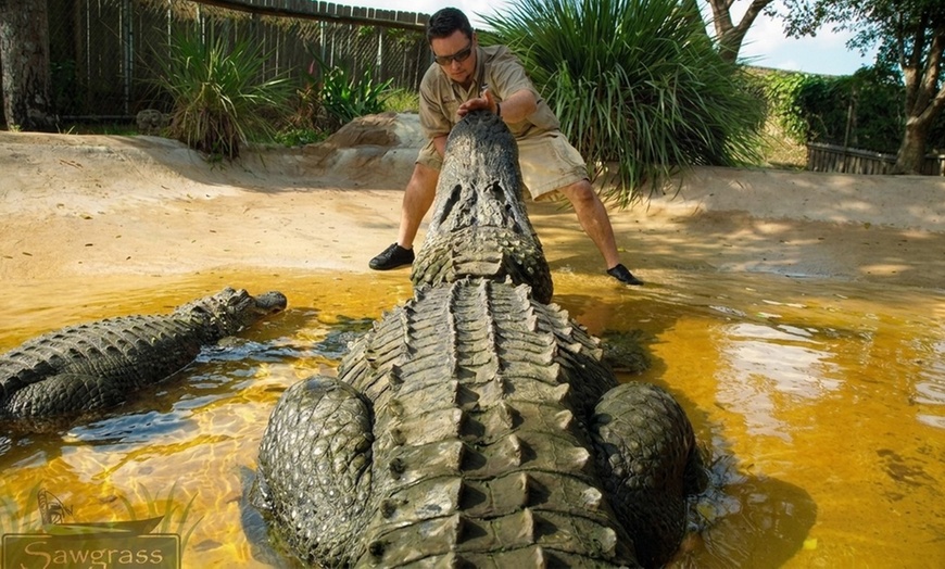 Image 4: Up to 28% Off – Everglades Airboat Tour