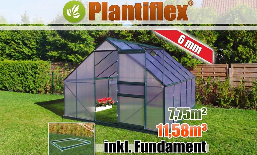 Image 7: Serre Plantiflex® avec fondation