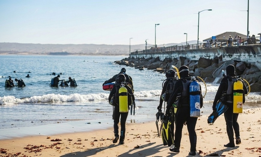 Image 4: Explore Monterey Bay Habitats With Guided Scuba Tours