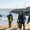 Image 4: Explore Monterey Bay Habitats With Guided Scuba Tours
