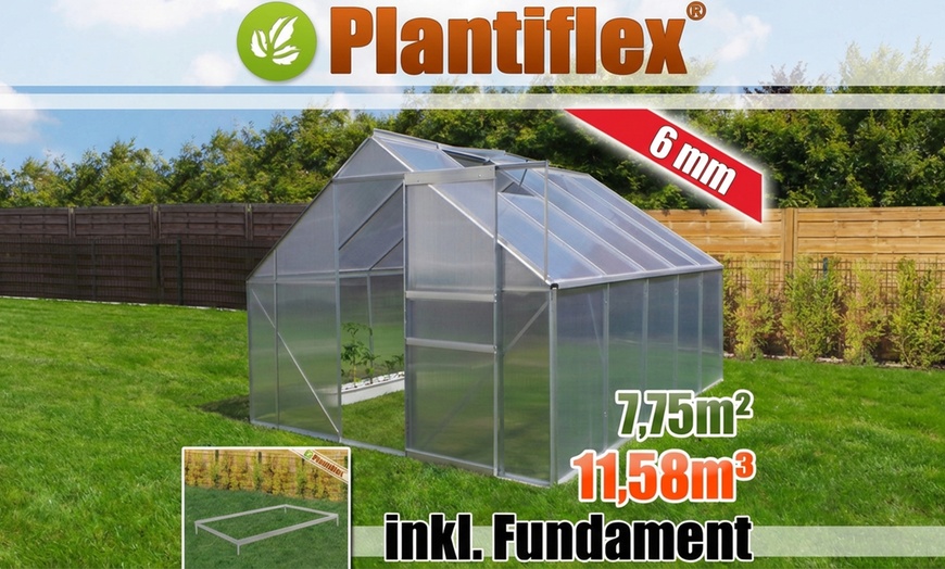 Image 3: Serre Plantiflex® avec fondation