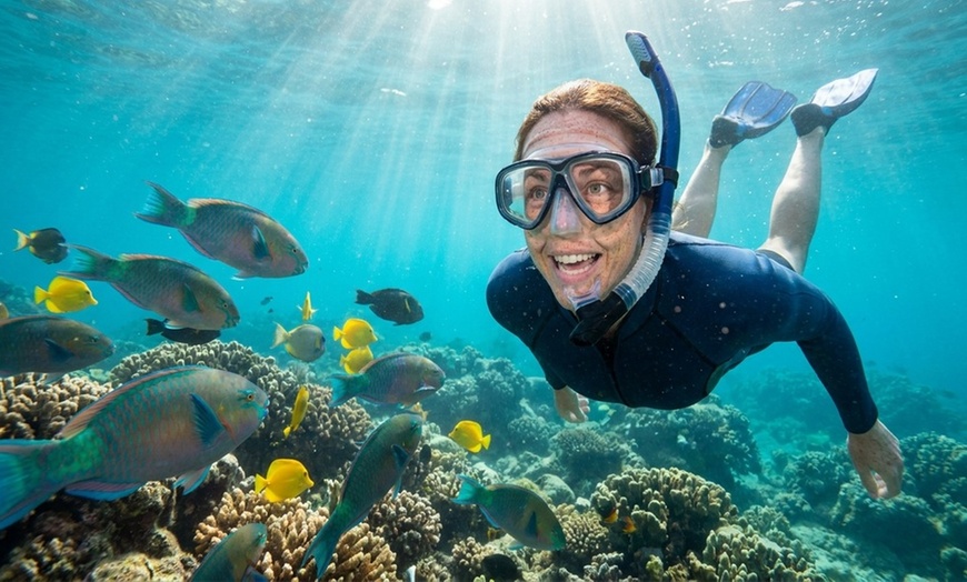 Image 6: Full-day Oahu Circle Island Tour with Snorkeling Fun