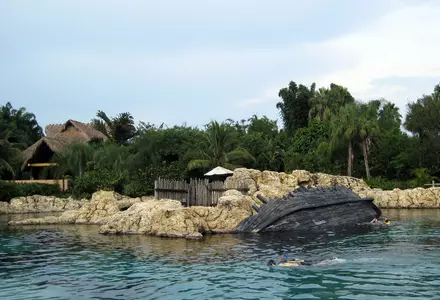 Discovery Cove