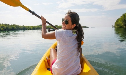 Two-Hour Rental of ONE Single Kayak - BayouBos Outdoors