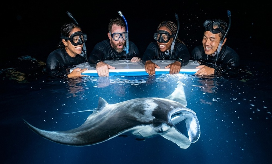 Image 2: Enjoy 2 hrs Manta Tour (45 Min Water Time) at Kona Mantas, Kailua-Kona