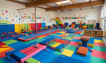 4 Weeks of Gymnastics Classes - Ms Carol's Gymkids
