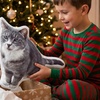 Image 10: Personalized 3D Pet Pillow - Up to 81% Off!
