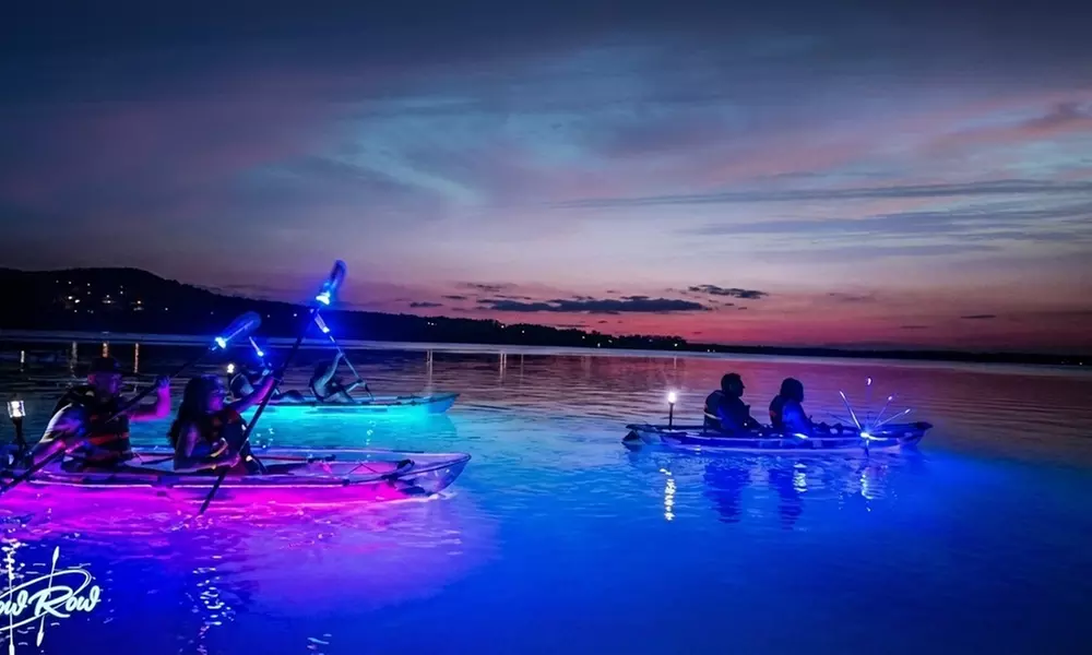 Kayak Tours: Day Dolphin Watching or Sunset Glow Experience in Navarre