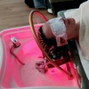 Image 3: Hinoki Head Spa & Scalp Water Therapy or Spa Package with Massage