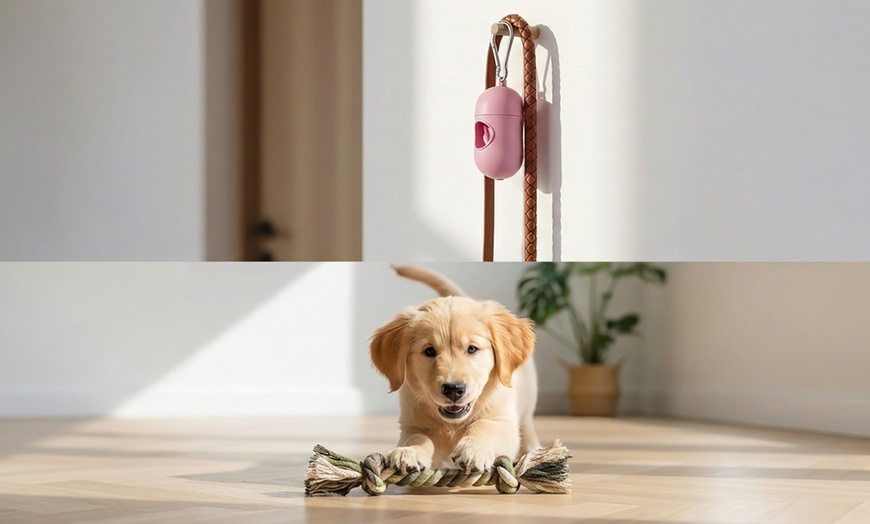 Image 3: Box cani con cuccia, ciotole, gioco e portasacchetti