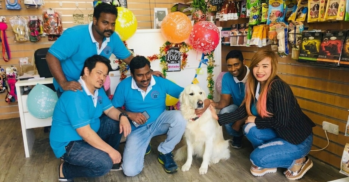 Pet Full Grooming Packages For Cats And Dogs Pet Full Grooming Packages For Cats And Dogs