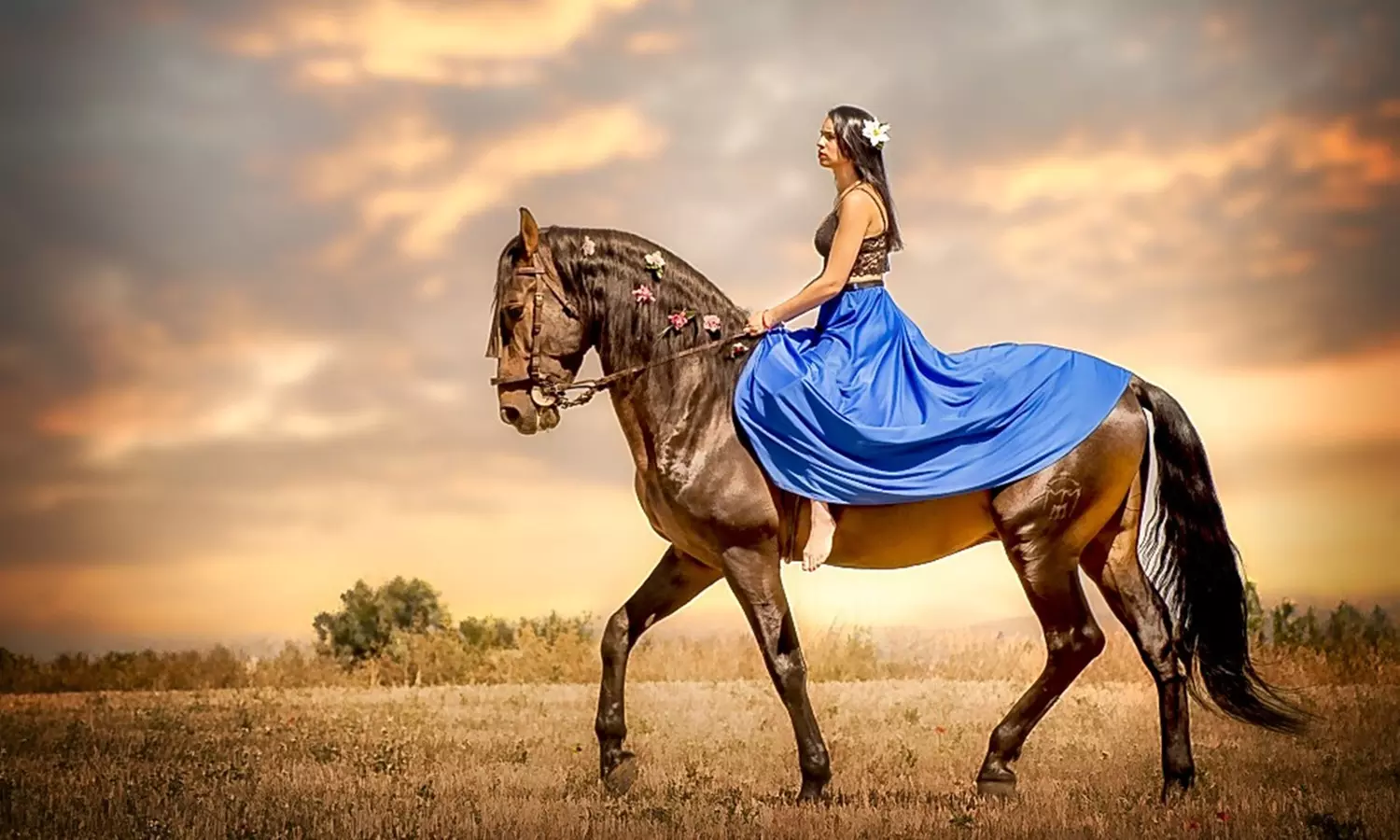 Sesión de estudio, exteriores o domicilio para 1 mascota con CD