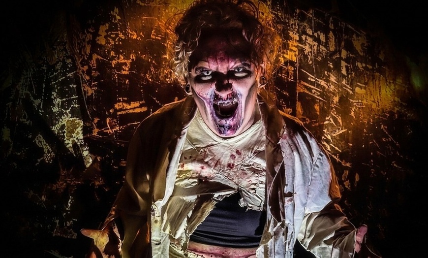 Image 2: Haunted House Admission with Drinks