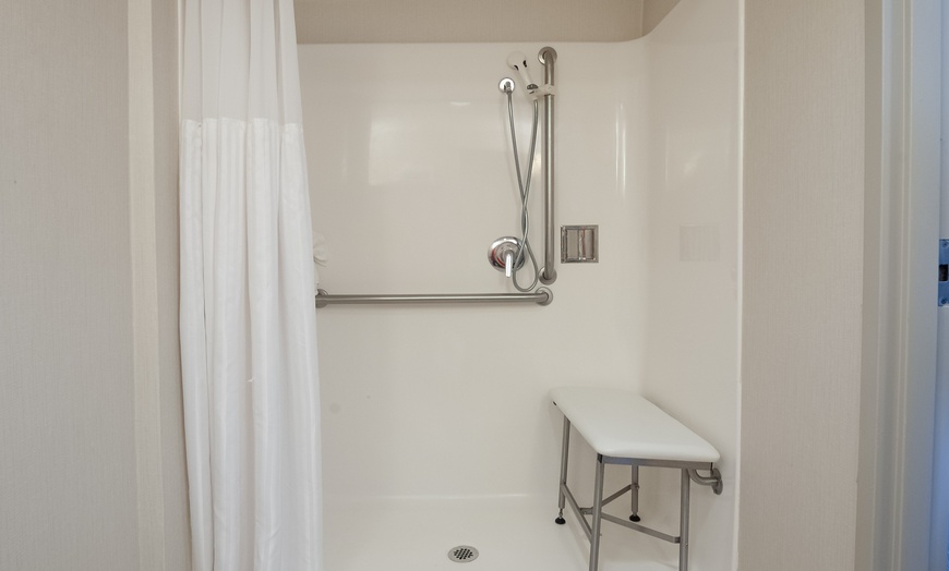 Image 10: Hilton Garden Inn Atlanta Airport/Millenium Center Hotel