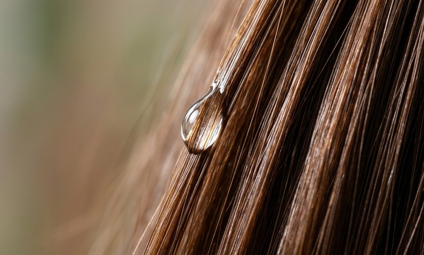 Image 3: Revitalize with 60 or 90-Minute Classic Hair & Scalp Spa Package