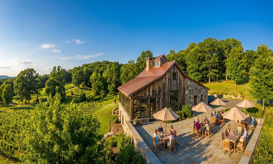 Image 2: Wine tasting experience for 2 or 4 with souvenir glasses