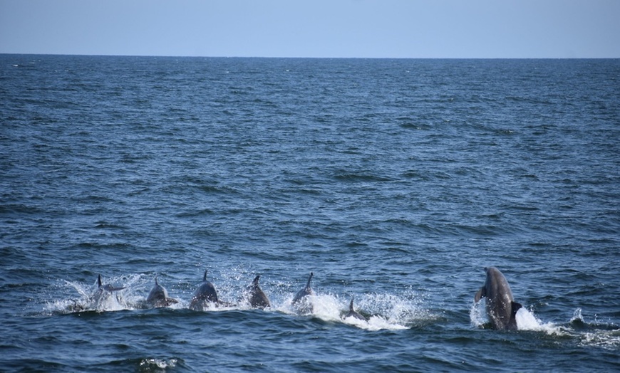 Image 2: Deep Sea Fishing Adventure with Rod, Reel & Bait Included at Belmar 