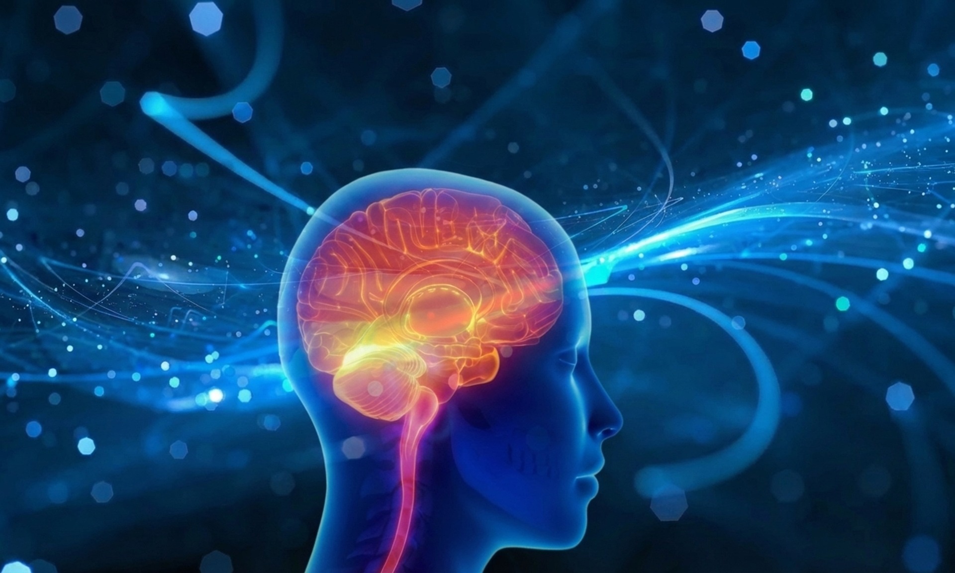 Kurs online z certyfikatem: Doradca w neuropsychologii klinicznej