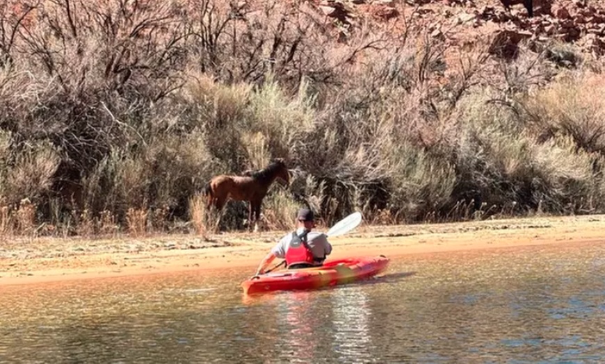 Image 3: Up to 7% Off Guided Half Day Horseshoe Bend Tour