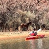 Image 3: Up to 7% Off Guided Half Day Horseshoe Bend Tour