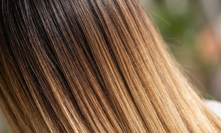Image 2: Cut & Condition w/ Highlight, Balayage, Ombre or Single Process Color
