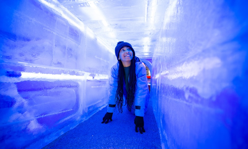 Image 6: ice!™ featuring Home Alone at Gaylord Opryland Resort