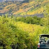 Image 6: Enjoy ATV or UTV Scenic Tours in the Real Alaskan Backcountry
