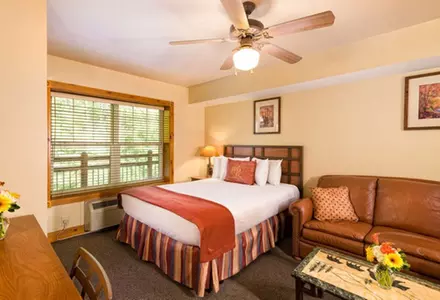 Studio Villa