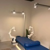 Image 3: AI-Powered Robotic Deep-Tissue Massage: 30, 45, or 60-Minute Sessions