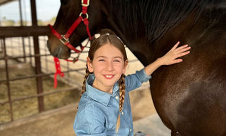 Image 2: Meet Ranch Animals w/ Balanced Beings Outdoor Recreation in Phoenix