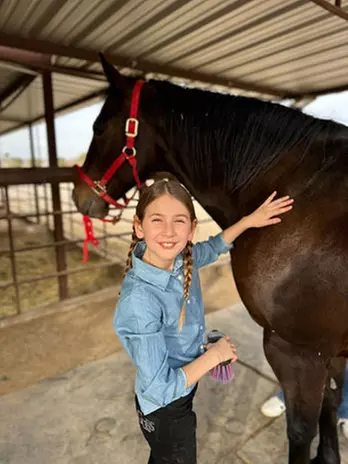 Meet Ranch Animals w/ Balanced Beings Outdoor Recreation in Phoenix