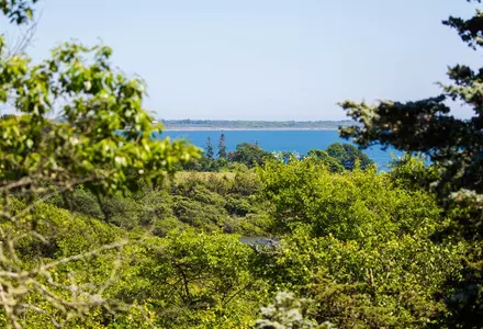 Norman Bird Sanctuary