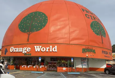 Eli's Orange World