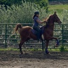 Image 1: Horseback Riding Lessons for All Ages