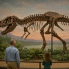 Image 2: Meet Cheryll the Triceratops: Museum Admission for Up To Six People