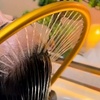 Image 1: 30 or 60-Min Signature Head Spa or Solo/Couple Head & Scalp Therapy