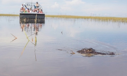 Miami: Everglades roofless Airboat Tour with Hotel Pickup - Miami Tropical Breeze Tours and Travel