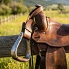 Image 2: Enjoy Scenic Horseback Riding Through Picturesque Trails