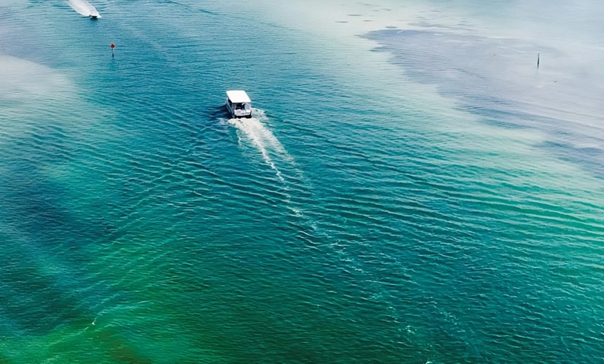 Image 2: Unforgettable Clearwater Dolphin Tour & Adventure (Up to 21% Off)