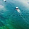 Image 2: Unforgettable Clearwater Dolphin Tour & Adventure (Up to 21% Off)