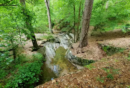 Dunwoody Nature Center