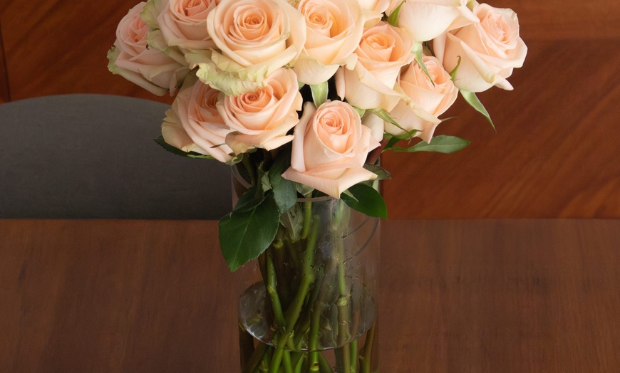 Image 21: *FLASH SALE* 24 or 36ct Roses Luxury Long Stem Rose Bouquet from Rose Farmers | Farm Fresh Roses (Up to 74% Off)