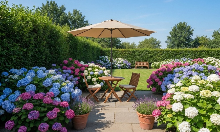 Image 22: Ombrellone da esterno con manovella e inclinazione regolabile