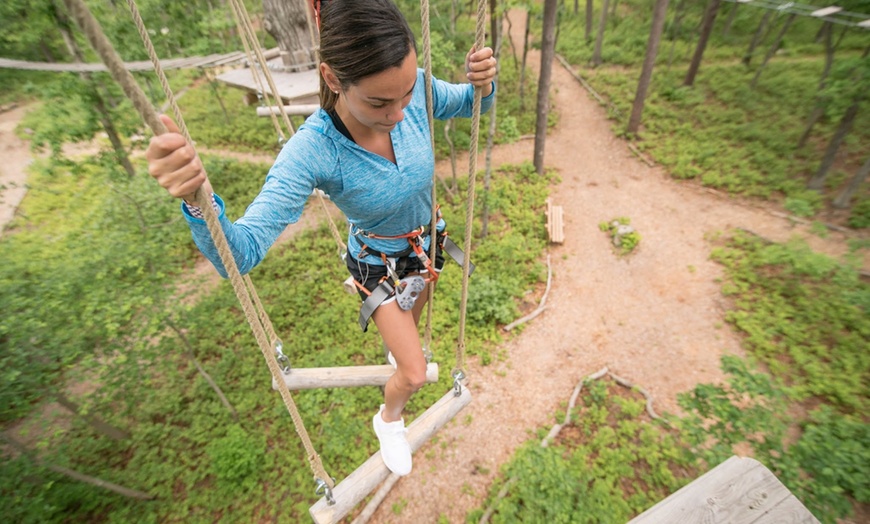 Image 2: Up to 37% Off Adventure Course & Ziplines at Tree To Tree Cape May